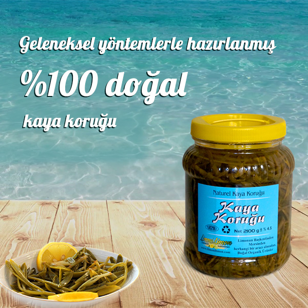 Kaya Koruğu - 2000 gr