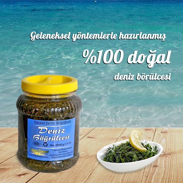 Deniz Böğrülcesi -2000 gr